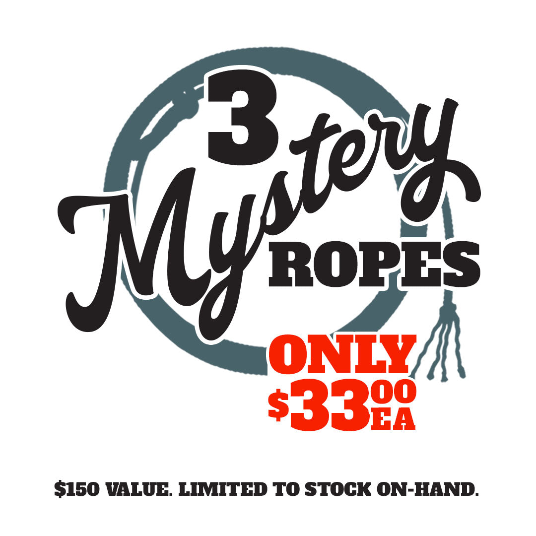 Heeler Mystery Box
